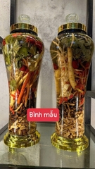 Thập toàn Đại Bổ(10 vị thảo dược quý)