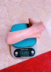 Nhung hươu  tươi Hương Sơn Hà Tĩnh