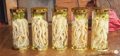Bình Đinh Lăng nếp lá nhỏ