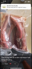 Nhung hươu  tươi Hương Sơn Hà Tĩnh