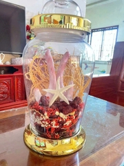Nhung hươu Hương Sơn Hà Tĩnh