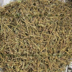 Cây Cà Gai Leo – Cà Dây Leo khô(túi 1kg)