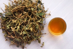 Cây Cà Gai Leo – Cà Dây Leo khô(túi 1kg)