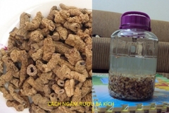 Củ Ba Kích tím khô loại 1