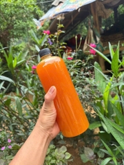 Mật Ong Rừng nguyên chất Tây Bắc(ong khoái,ong ruồi)