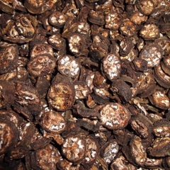 Chuối Hột Rừng(quả xanh cắt lát, quả chín – bóc vỏ sấy khô nguyên quả, bóc vỏ- ép thành miếng)