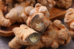 Tam Thất Bắc Khô Hà Giang