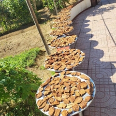 Hà Thủ Ô đỏ Khô LOẠI 1