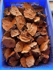 Hà Thủ Ô đỏ Khô LOẠI 1