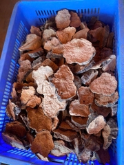 Hà Thủ Ô đỏ Khô LOẠI 1