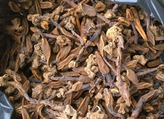 Nấm Ngọc Cẩu Khô loại 1