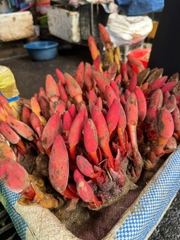 Nấm Ngọc Cẩu tươi