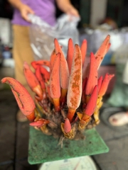 Nấm Ngọc Cẩu tươi