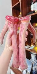 Nhung hươu  tươi Hương Sơn Hà Tĩnh