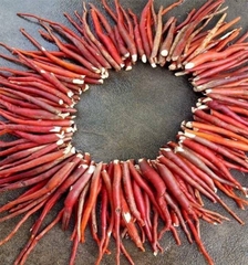 Sâm Cau Đỏ Tây Bắc