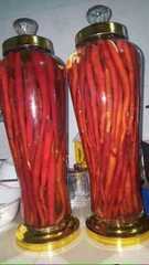 Sâm Cau Đỏ Tây Bắc