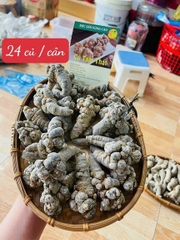 Tam Thất Bắc Khô Hà Giang