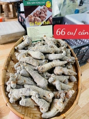 Tam Thất Bắc Khô Hà Giang