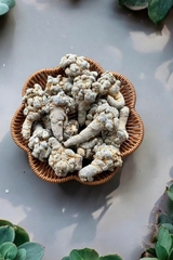 Tam Thất Bắc Khô Hà Giang