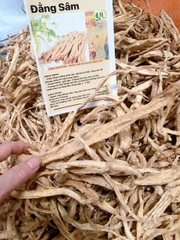 Củ Đẳng Sâm rừng Tây Bắc sấy khô
