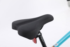 Xe đạp địa hình bánh béo CALLI 3100
