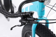 Xe đạp địa hình bánh béo CALLI 3100