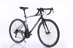 Xe đạp đua Road bike Fascino 848