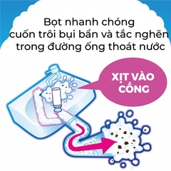 CHAI XỊT TẠO BỌT VỆ SINH ĐƯỜNG ỐNG NƯỚC SINH HOẠT EARTH RAKU HAPI 200ml