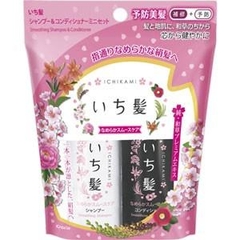 Bộ Dầu Gội & Dầu Xả Ichikami Smooth Care Mini 40ml