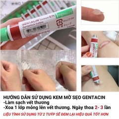 Kem trị sẹo Gentacin Nhật Bản 10g