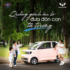 Xe điện Wuling Mini EV – LV2 ( màu Hồng đào- nóc đen)