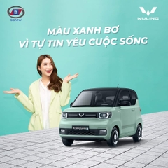 Xe điện Wuling Mini EV – LV2 ( màu xanh bơ- nóc đen)