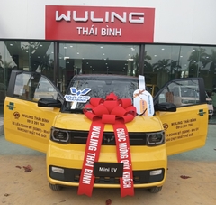 Xe điện Wuling Mini EV – LV2 ( màu Vàng chanh- nóc đen)