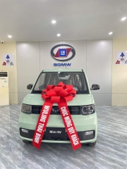 Xe điện Wuling Mini EV – LV2 ( màu xanh bơ- nóc đen)