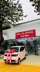 Xe điện Wuling Mini EV – LV2 ( màu Hồng đào)