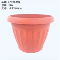 chậu hoa sz nhỏ