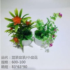 Chậu hoa nhỏ trộn mẫu .