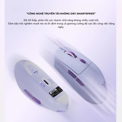 Chuột Gaming Không Dây Siêu Nhẹ VXE Dragonfly V3 Series