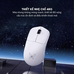 Chuột Gaming Không Dây XINMENG BUTTERFLY MS301