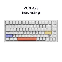 BÀN PHÍM CƠ GAMING HE VGN A75 HE | Rapid Trigger | 1000hz | RT 0.1mm