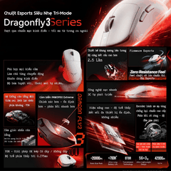 Chuột Gaming Không Dây VGN Dragonfly 3 Series, PAW3395 Extreme, Nordic 54L15, Delay 0.175ms, 56g, Lớp Phủ Ice-Feel Coating, Pin 500mAh