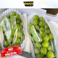 NHO MẪU ĐƠN