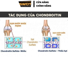 Glucosamine & MSM 1500mg 375 viên Kirkland Signature, viên uống giảm đau xương khớp, khớp khỏe mạnh - SWOT