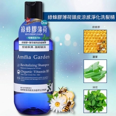 Dầu Gội Mát Lạnh Chiết Xuất Keo Ong Xanh Và Bạc Hà Amma Garden