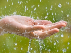 Sản phẩm là kho chứa ảnh từ web cũ KHÔNG ĐƯỢC XÓA 1