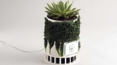 Sản phẩm là kho chứa ảnh từ web cũ KHÔNG ĐƯỢC XÓA 1