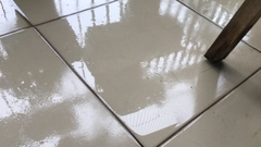 Sản phẩm là kho chứa ảnh từ web cũ KHÔNG ĐƯỢC XÓA 4