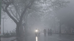 Sản phẩm là kho chứa ảnh từ web cũ KHÔNG ĐƯỢC XÓA 3