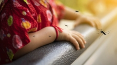 Sản phẩm là kho chứa ảnh từ web cũ KHÔNG ĐƯỢC XÓA 1