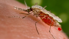 Sản phẩm là kho chứa ảnh từ web cũ KHÔNG ĐƯỢC XÓA 1